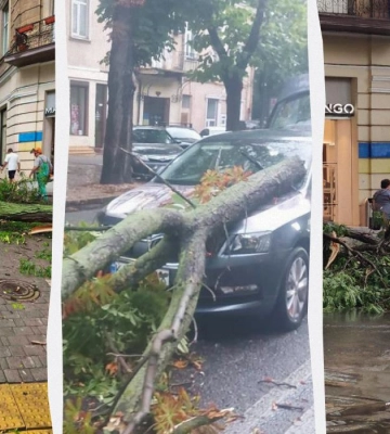 Штормовий вітер повалив в Одесі більше 30 дерев