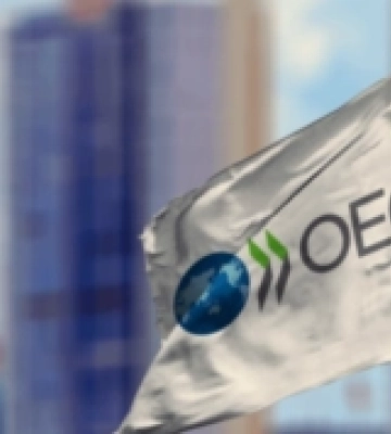 Організація економічного співробітництва й розвитку попередила ОП про наслідки рішення щодо НАБУ