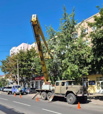 У Черкасах через негоду впали сім великих гілок (ФОТО)