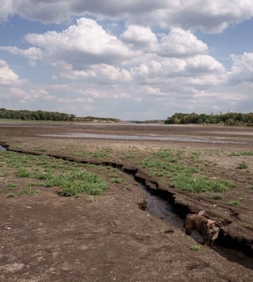 Водна криза на окупованій Донеччині сягнула критичного рівня