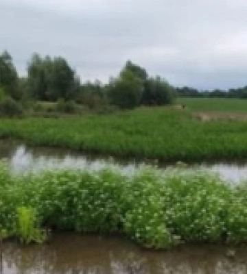 На Львівщині створять ще один ландшафтний заказник
