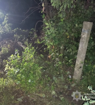 У Луцьку оштрафували водія, який не зупинився на пішохідному переході (Відео)