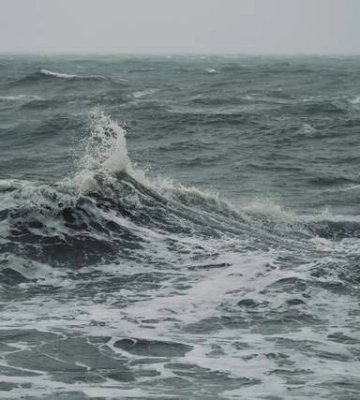 На Одещині чоловік намагався втопити в морі собаку