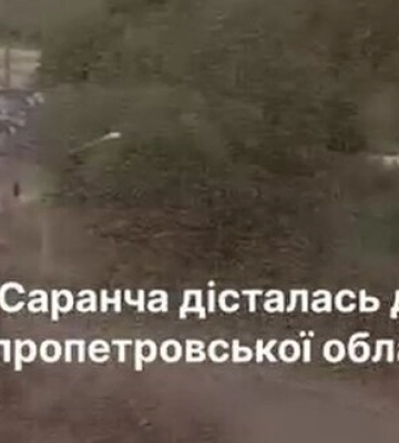 Нашестя сарани охоплює Дніпропетровську область. ВIДЕО