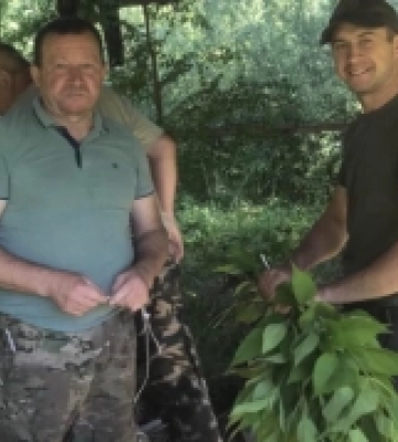У нацпарку на Волині цвітуть рідкісні дикі орхідеї (Фото)