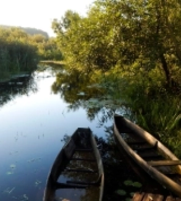 Літо в національному парку на Волині