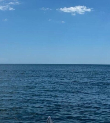 В Ізмаїльському районі морська вода – неприємна для купання В Ізмаїльському районі морська вода – неприємна для купання
