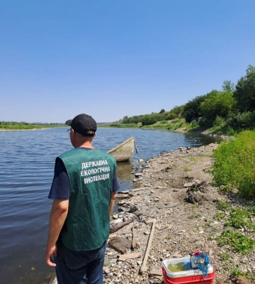 Причину мору риби встановили — у Запорізькому районі озеро Малий Кушугум зазнало надмірного забруднення