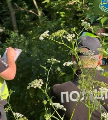 Правоохоронці виявили тіло зниклої 17-річної дівчини з ознаками насильницької смерті на Сумщині