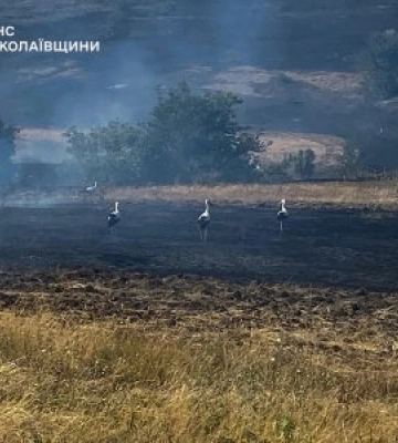 24 липня та в ніч проти 25 на території Миколаївщини виникло 49 пожеж