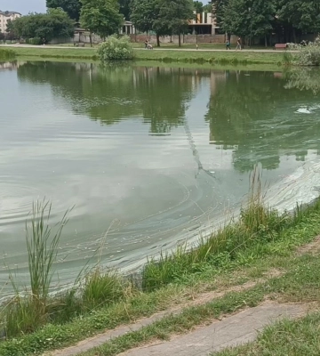 У водоймах Коломийщини вода не відповідає нормам для купання (відео) У водоймах Коломийщини вода не відповідає нормам для купання (відео)