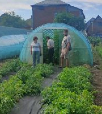 Ветеран із Херсонщини розвиває тепличне господарство на Львівщині