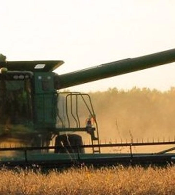 Одещина лідирує в Україні за збором зерна: намолочено понад 2,5 млн тонн