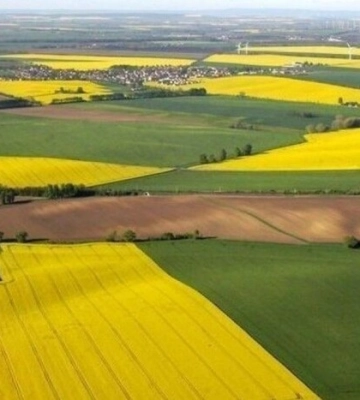 Самовільне зайняття понад 1 000 гектарів земель оборони – на Миколаївщині підозрюють підприємця