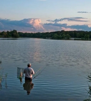 Відпочинок біля води в Києві: все про озеро Редькине та його особливості
