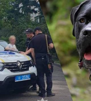 Вигулювали без намордників: у Києві бійцівські собаки напали на жінку