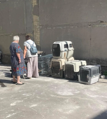 На Вінниччині евакуйованим з-під Покровська жінкам не дозволили заселитися в будинок, бо ті приїхали з 11 собаками та 34 котами