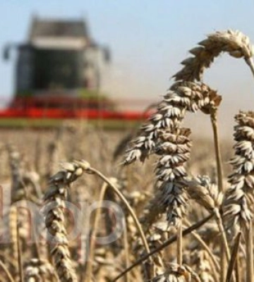 Ринок аграрних підприємств пожвавлюється попри виклики війни
