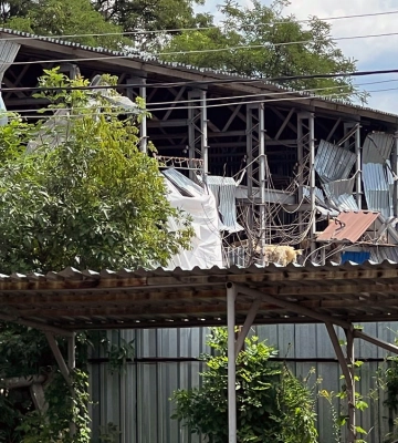 Під Харковом росіяни пошкодили три підприємства 