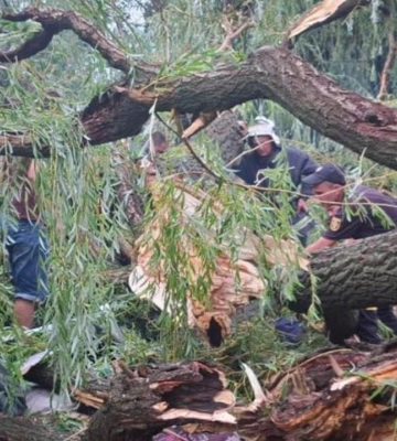 Дерево упало на палатку: в Одесской области из-за непогоды погиб подросток, еще 4 пострадали