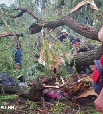 На Одещині дерево впало на намет з підлітками: одна дитина загинула