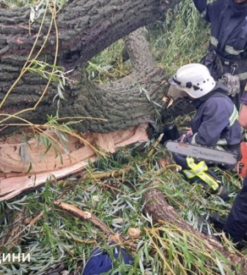 На Одещині дерево впало на намет із підлітками, один хлопець загинув