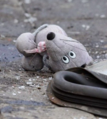 На Волині малолітній хлопчик раптово вибіг на дорогу і спричинив ДТП: судили його матір