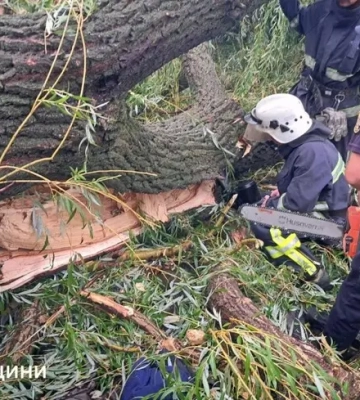 На Одещині дерево впало на намет із підлітками. Один із них загинув На Одещині дерево впало на намет із підлітками. Один із них загинув