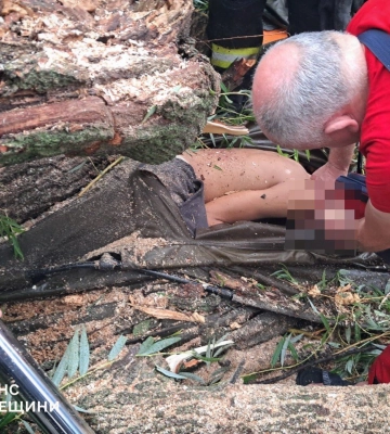 Дерево впало на намет із дітьми на Одещині — є загиблий та постраждалі