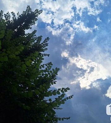 У Кривому Розі 18-річний хлопець зґвалтував неповнолітню: поліція повідомила про підозру