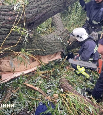 В Одеській області дерево впало на намет з підлітками: 4 постраждали, 1 загинув В Одеській області дерево впало на намет з підлітками: 4 постраждали, 1 загинув