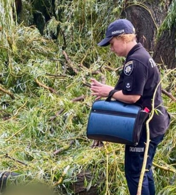 На Одещині дерево впало на намет з підлітками: один загиблий, четверо травмовані На Одещині дерево впало на намет з підлітками: один загиблий, четверо травмовані