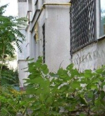 У Кременчуці жінка розбила каменем авто ТЦК: її затримала поліція