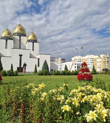 У Львові цвітуть лілії з Нідерландів 