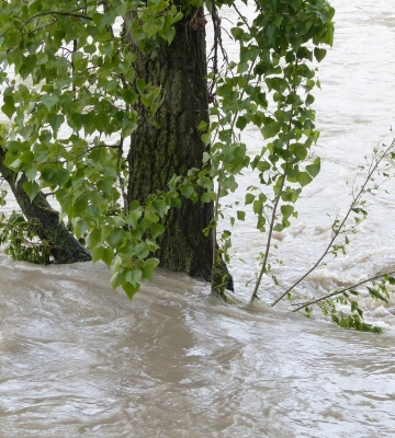 Синоптики попереджають про підвищення рівнів води у річках на Закарпатті