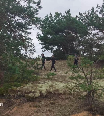 На Поліссі досі шукають чоловіка, який зник у лісі