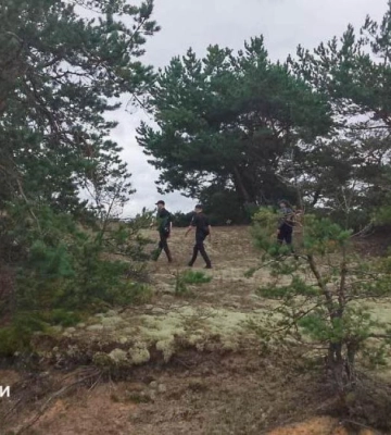 На Поліссі досі шукають чоловіка, який зник у лісі