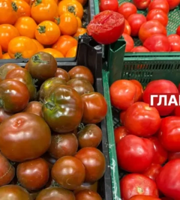 Скільки коштують помідори в Києві: огляд цін