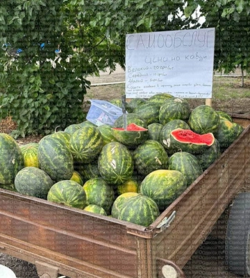 На Одещині продають кавуни без продавця