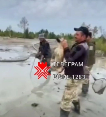В Ровенской области мужчины издевались над собакой: в дело вмешалась полиция