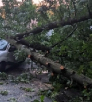 На Рівненщині рятувальники очистили дорогу та відкачали воду через негоду.