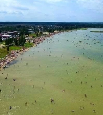 На Світязі – сом-велетень, якого не можуть спіймати рибалки