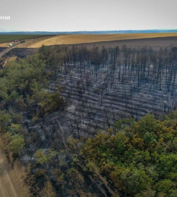 Дві великі пожежі за день: на Одещині вигоріло 25 гектарів сухої рослинності, - ФОТО