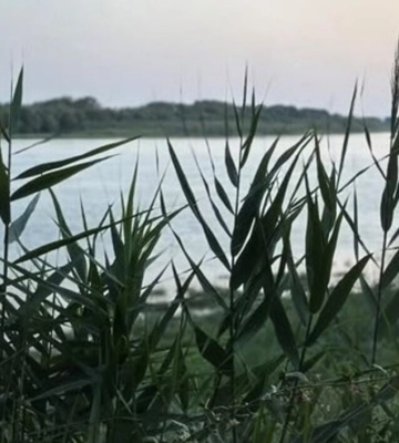 Коли очікувати підвищення рівня води на українській ділянці Дунаю