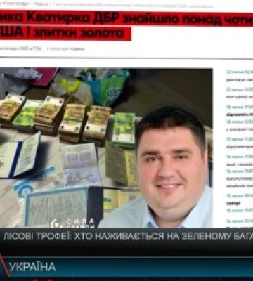 Лісові трофеї: хто наживається на зеленому багатстві України (відео)