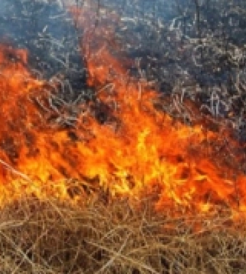На Одещині горіло 15 гектарів сухої трави