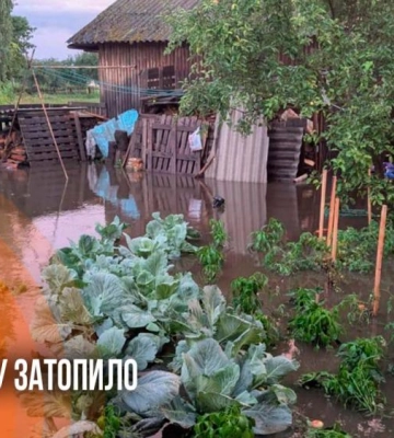 Енергетики працюють над відновленням електропостачання після негоди на Рівненщині