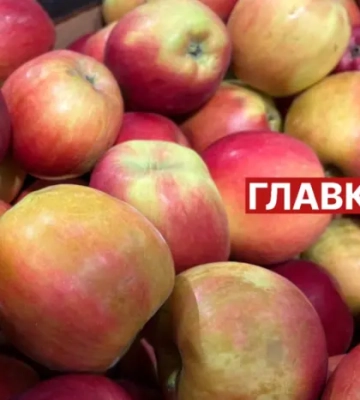 Яблука у столичних супермаркетах: скільки коштують та коли подешевшають