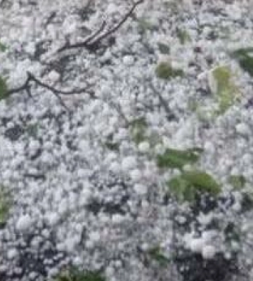 На Полтавщині прогнозують дощі та грози