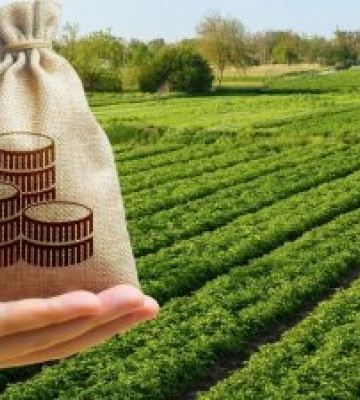 Місцеві бюджети Закарпатської області отримали 380,3 млн грн плати за землю